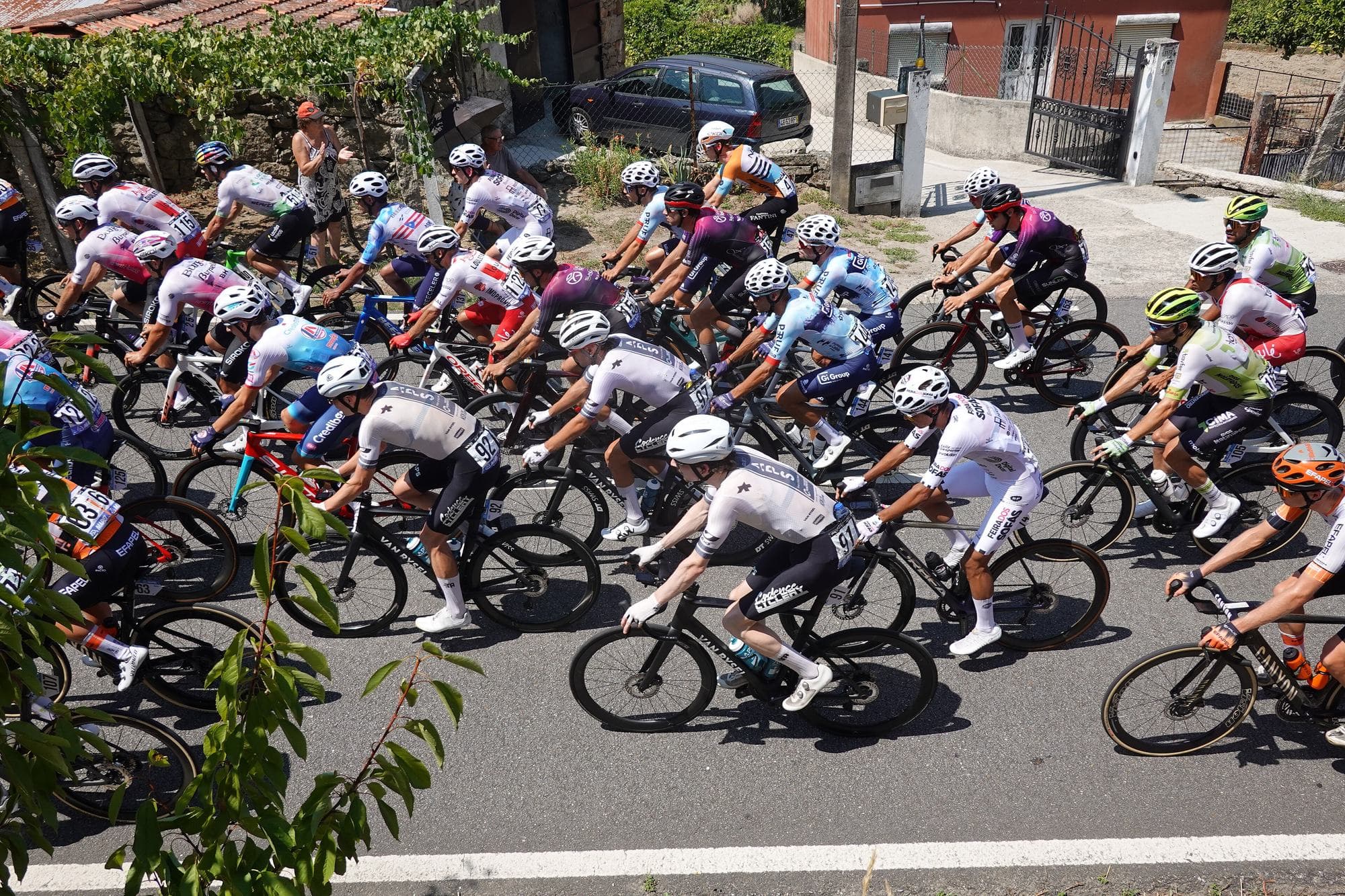 The Volta a Portugal peloton in full flight