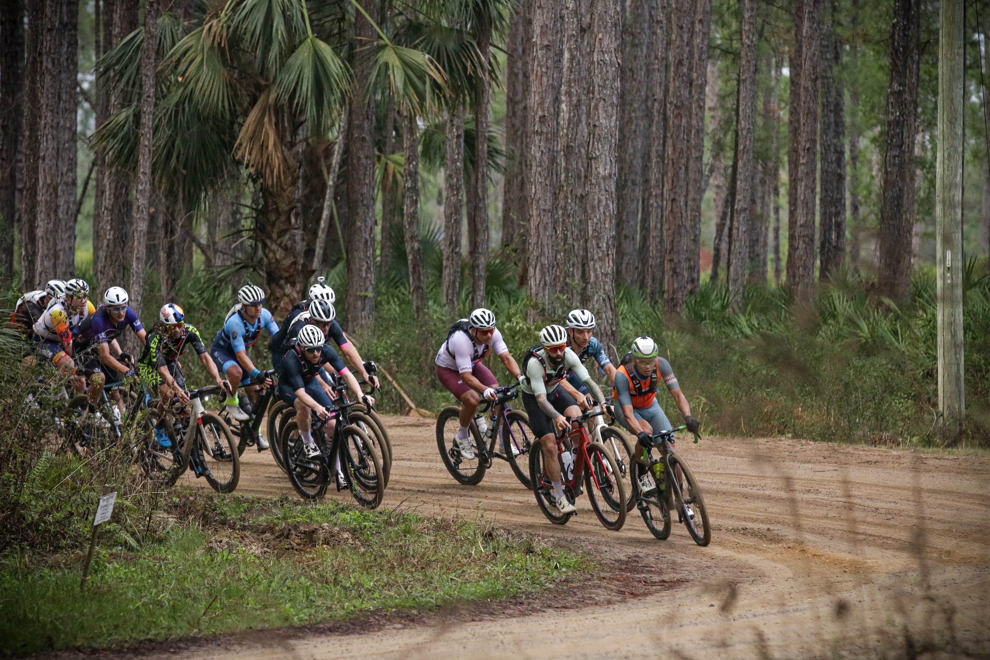 A gravel race group leaning through a sandy corner between tall pines, riding toward the camera